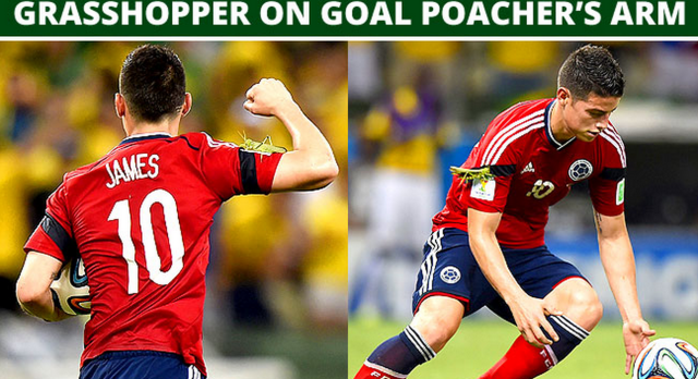 Screen Shot 2014-07-15 at 1.33.01 PM